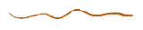 Yellow line