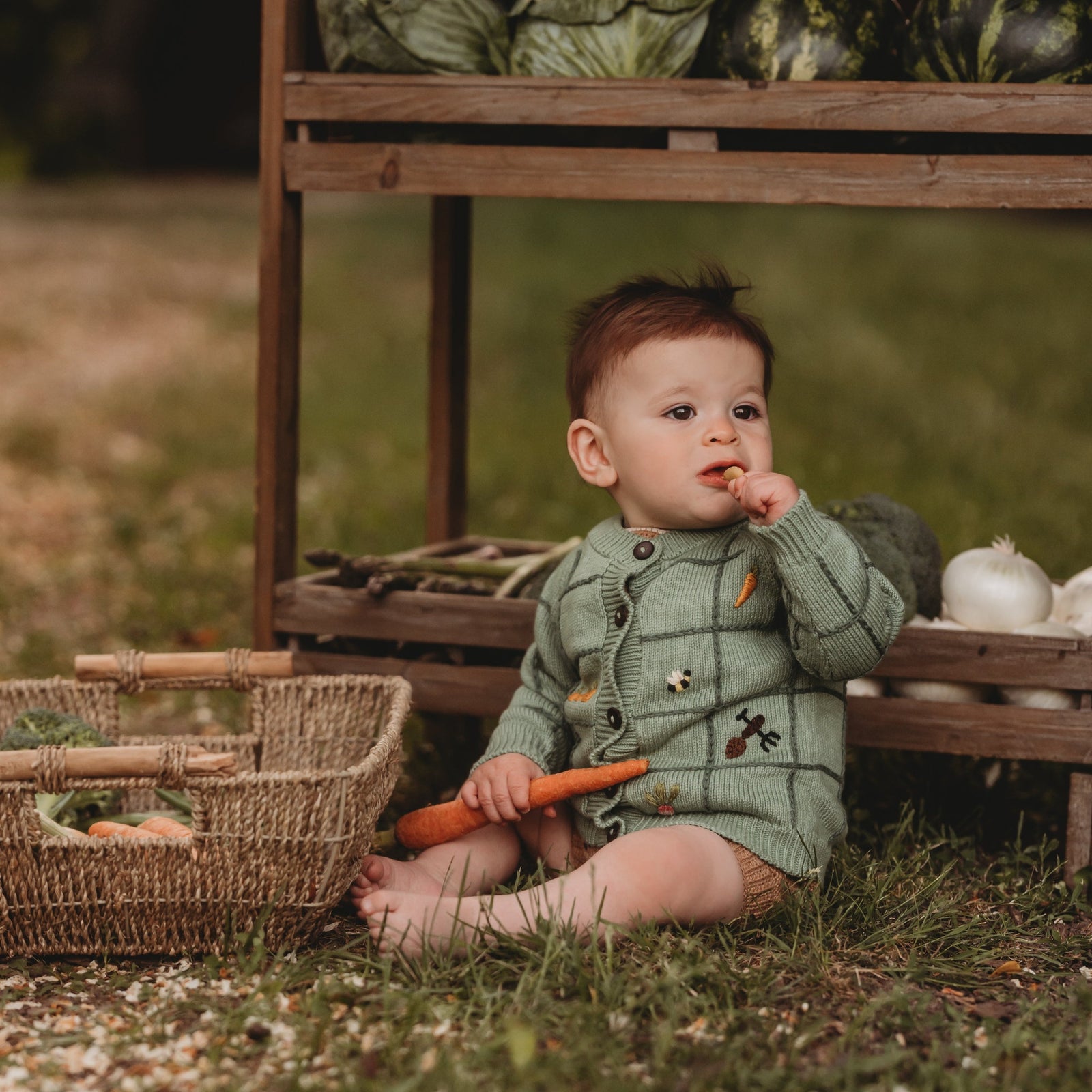 新品 5351 knit shell 46 Pique Knit Shell – St. John Knits