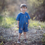 Young boy in a blue outfit standing in a natural setting with trees and grass.