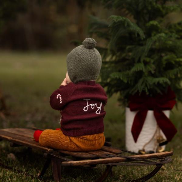 a baby wearing knitted and embroidered holiday goose cardigan for christmas in color grape