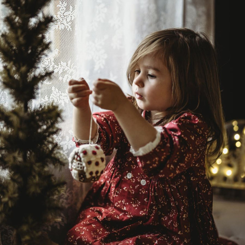 Gingerbread House Ornament with Mushroom