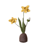 Standing Daffodil