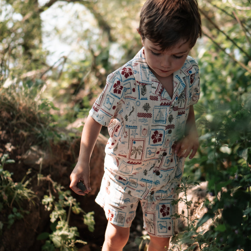 Carson set - The Holiday Print
