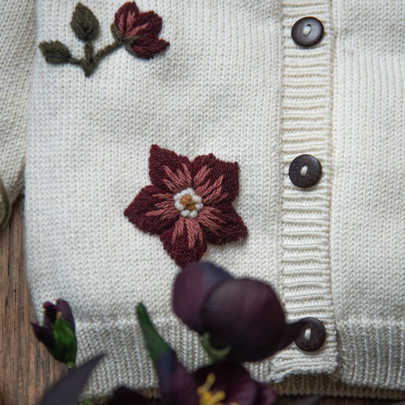 close up of the hellebores cardigan white