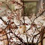 Decorative item hanging from a branch with a blurred indoor background