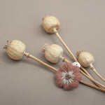 Flora hair Clip - Blush