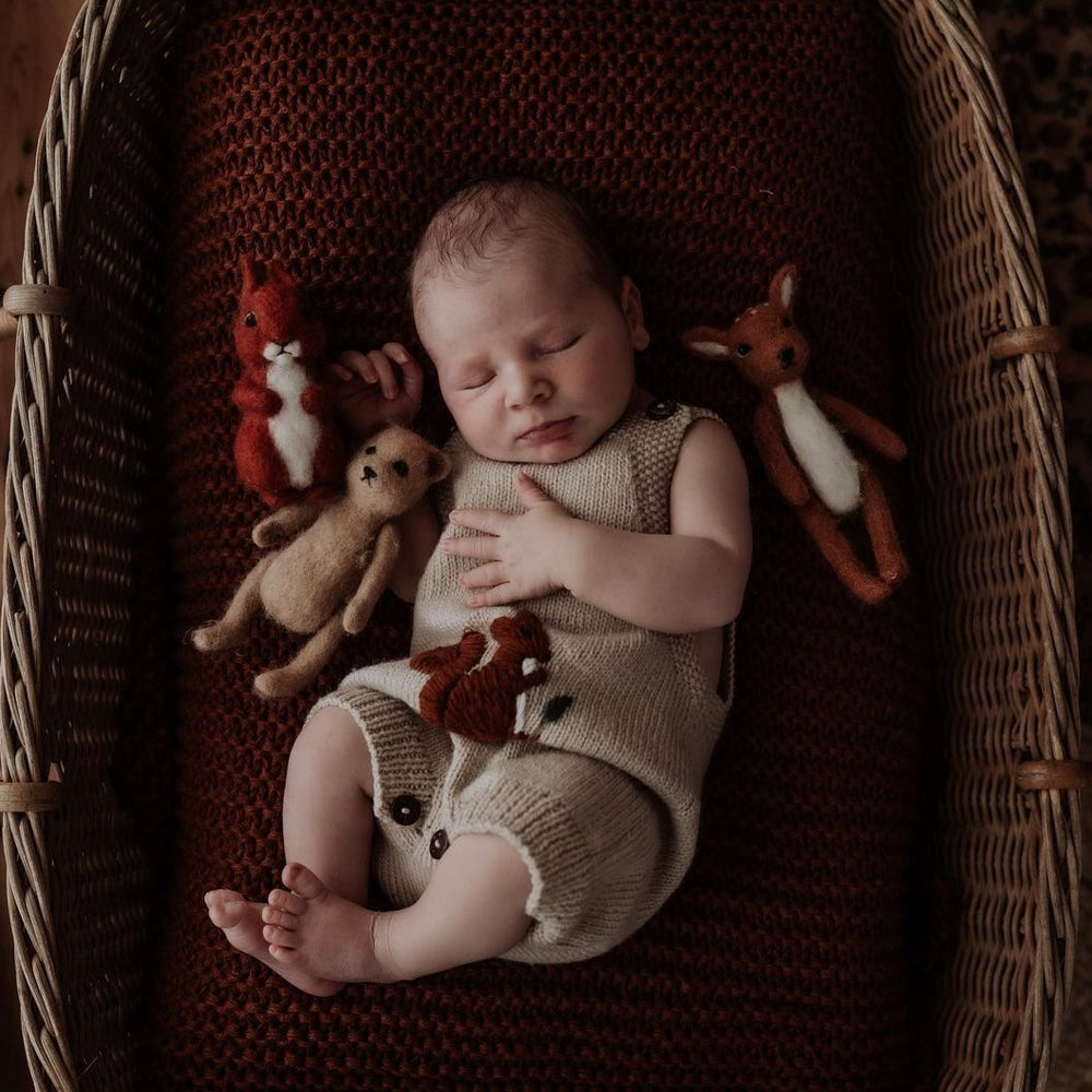 Squirrel romper