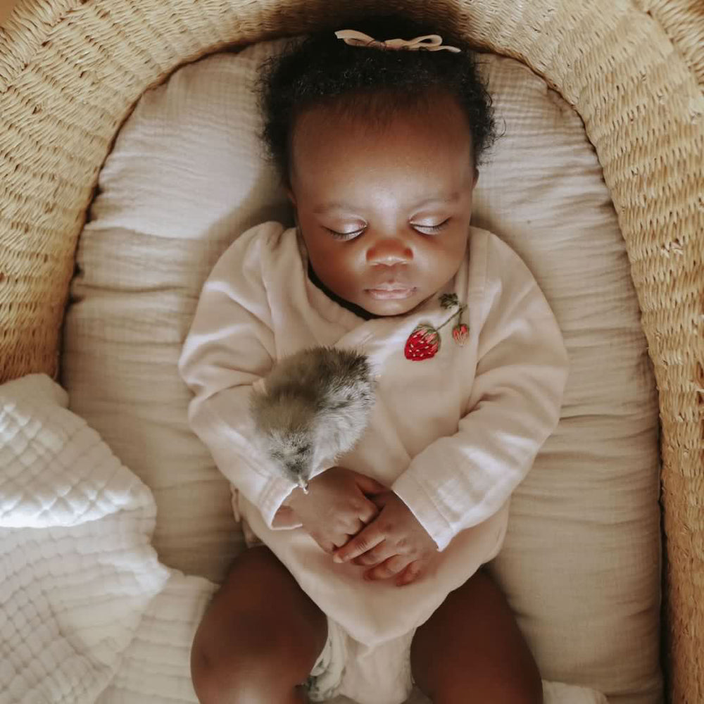 Newborn collection